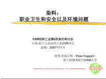 职业卫生和安全以及环境问题-DyeStuffs