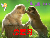西师大版小学数学一年级上册总复习课件