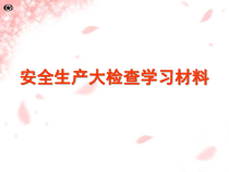 安全生产检查学习材料