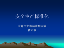 企业安全生产标准化管理0706