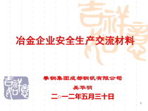 冶金行业安全生产交流材料(1)XXXX330112704