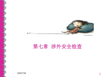 涉外安全检查概述