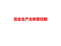 安全生产主体责任制