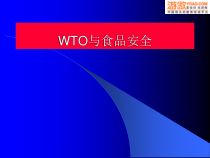 WTO与食品安全概述