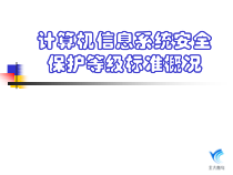 安全标准概况