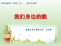 一年级上册数学课件-2.6-我们身边的数-西师大版共17张PPT