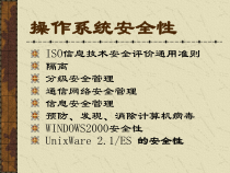 操作系统安全性