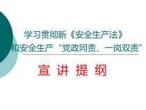学习贯彻新《安全生产法》和安全生产党政同责、一岗双