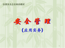 安全管理应用实务XXXX08
