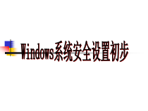 WINDOWS网络安全