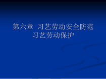 第六章习艺劳动安全防范习艺劳动保护