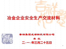 冶金行业安全生产交流材料XXXX330112704ppt-