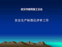 某市建筑施工企业安全生产标准化评审工作(PPT 44页)