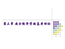 安全经济学的基本理论课件