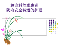 急诊科危重患者院内安全转运的护理概述