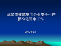 某市建筑施工企业安全生产标准化评审工作