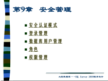 10、第9章安全管理
