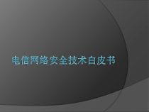 电信网络安全技术白皮书