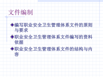 职业安全卫生管理体系文件的结构与内容