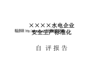 某水电企业安全生产标准化自评报告