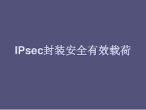 IPsec封装安全有效载荷