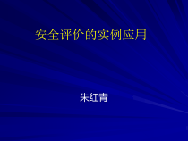 安全评价的应用实例（PPT55页)