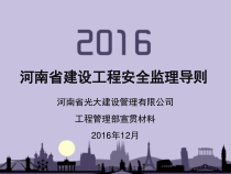 河南省安全监理导则