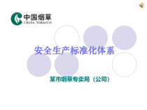 某烟草公司安全生产标准化体系