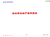 企业安全生产主体责任汇编