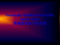 全市工贸行业企业安全生产标准化培训教材