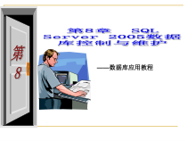 数据库安全性控制