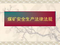 煤矿安全生产法律