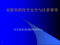 实验室的化学安全与注意事项