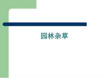 3-园林杂草08123