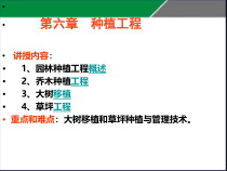 6_园林种植工程