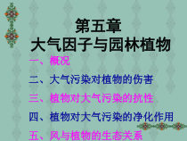 11-12第五章大气因子与园林植物