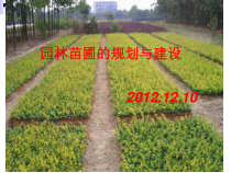 25园林苗圃的规划与建设