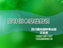 XXXX园林树木学