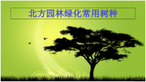 北方园林绿化常用树种