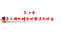 常见园林树木的繁殖与培育