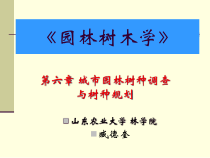 城市园林树种调查与树种规划培训课件