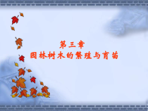 第3章园林树木的繁殖与育苗