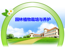 第四章园林树木栽植技术