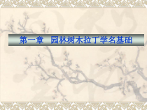 第一章园林树木拉丁学名基础