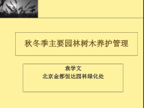 冬季园林树木养护管理冬季修剪(企业协会) 简化