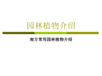 南方常见园林植物介绍