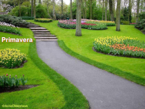 欧美园林美景：百花盛开的春季primaveraceclia