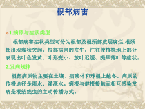 园林病害