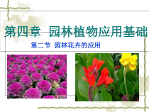 园林花卉的应用