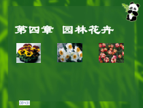 园林花卉分类